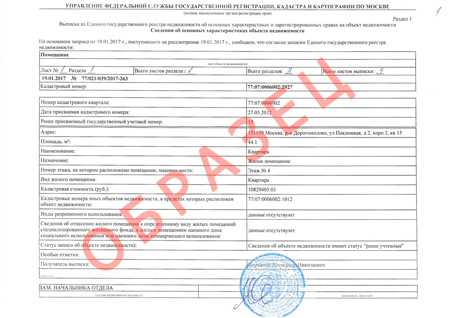 Как получить выписку из ЕГРН через портал Госуслуг