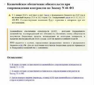 Преимущества и риски казначейского сопровождения для организаций