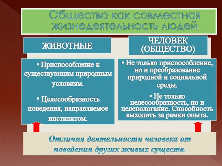 Роль образования в усвоении культурных ценностей