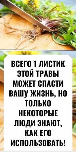 Процедура задержания и личного досмотра
