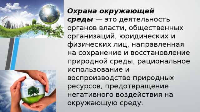 Лесные массивы как компонент природного баланса