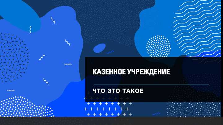 Отличия от бюджетных и автономных учреждений