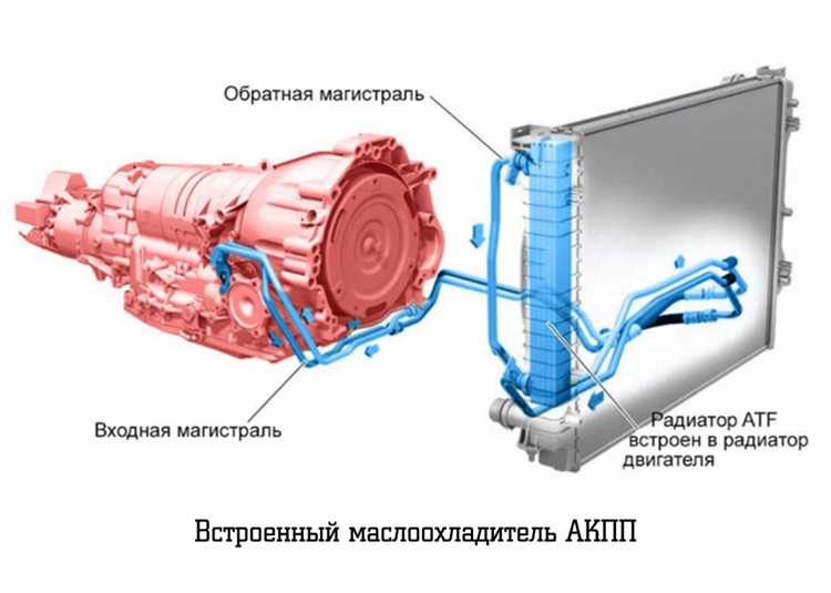 Какие меры предосторожности нужно соблюдать при хранении охолощенного автомата