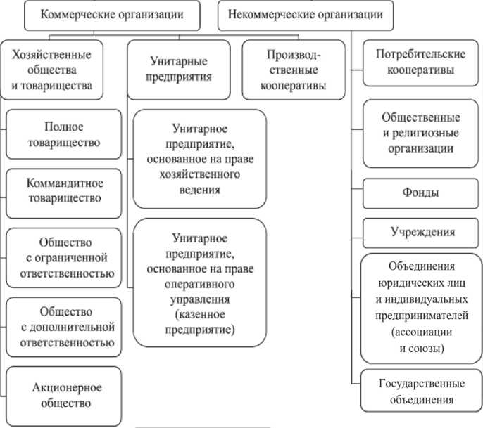 Отчетность и налоговые обязательства коммерческой организации на имущественных паевых взносах