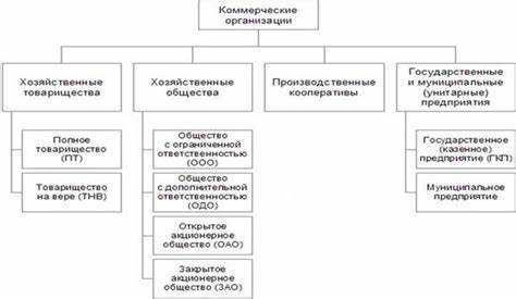 Как называется коммерческая организация основанная на имущественных паевых взносах участников