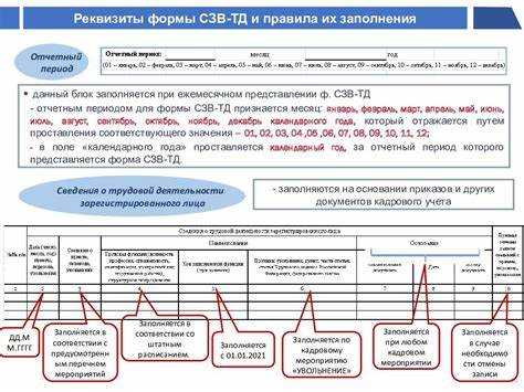 Какие последствия для работодателя при опоздании с СЗВ-М?