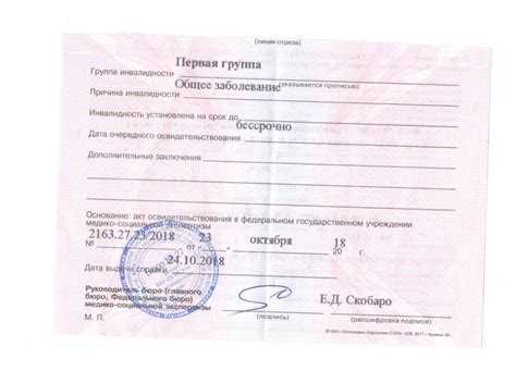 Документы, необходимые для оформления инвалидности на транспорт