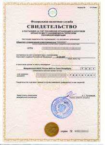 Сроки получения дубликата ИНН
