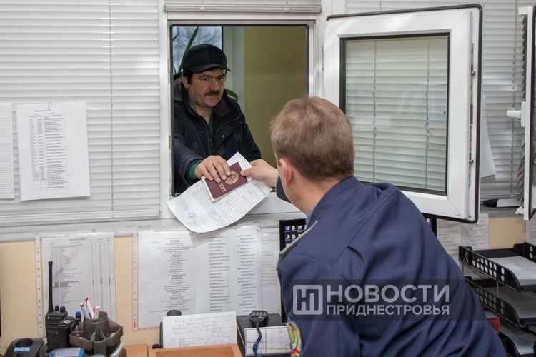 Проверка найденного кода через официальный классификатор ФТС