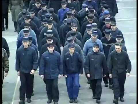 Дисциплинарные взыскания и перевод между уровнями условий: основания и обжалование
