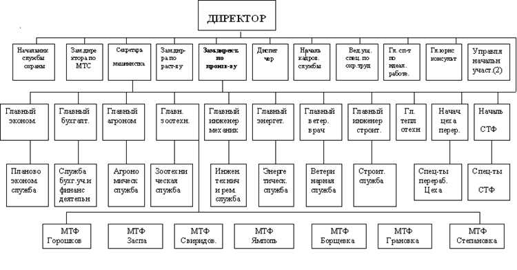 Как оптимизировать домашний бюджет