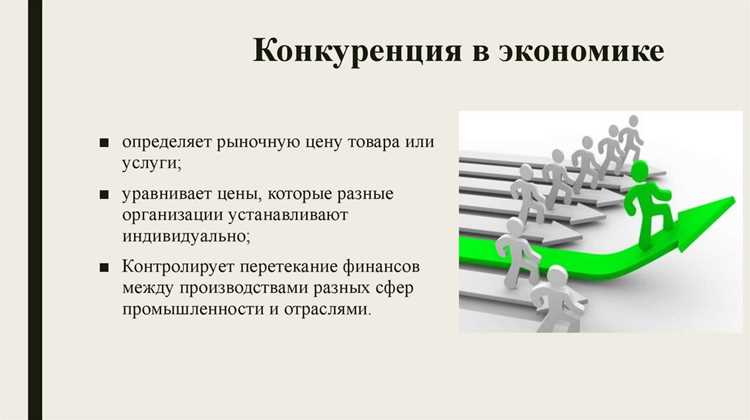 Этапы подготовки и публикации конкурсной документации