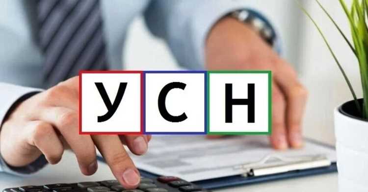 Особенности применения УСН для индивидуальных предпринимателей