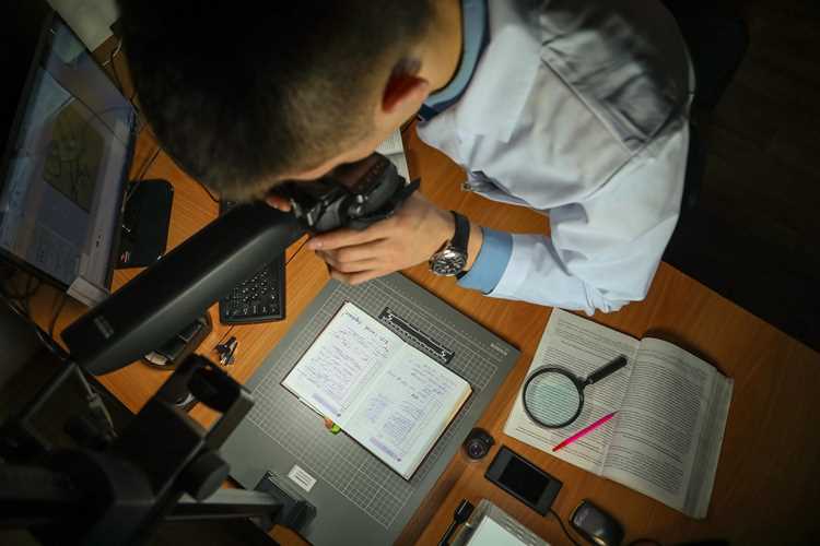 Законные участники процесса: перечень и полномочия