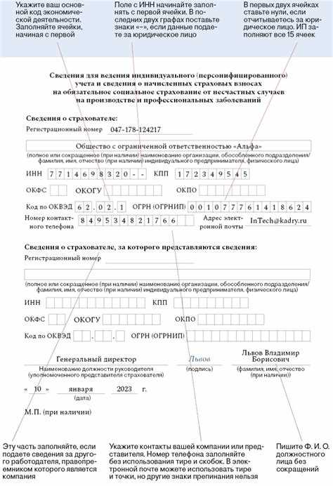 Кто организации в отчете ефс 1