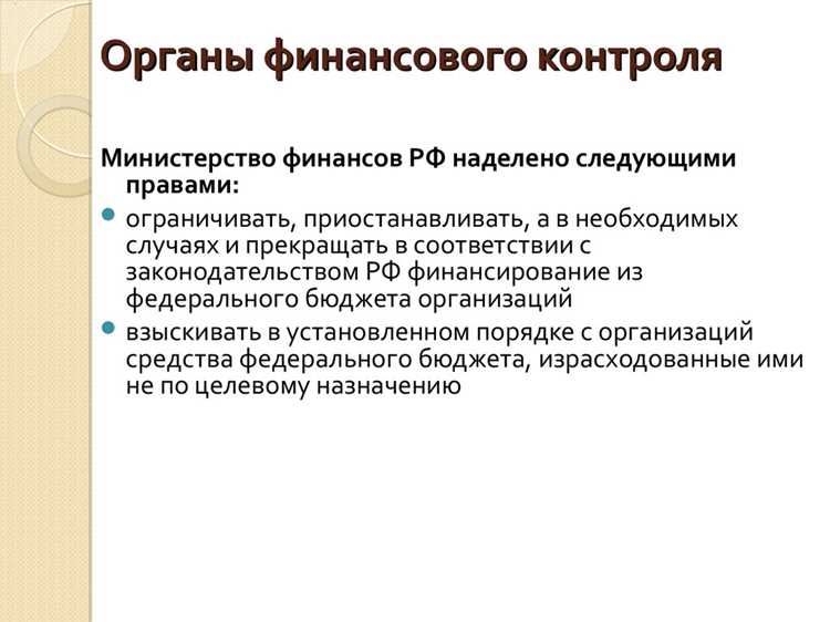 Возможности общественных экспертиз финансовых программ