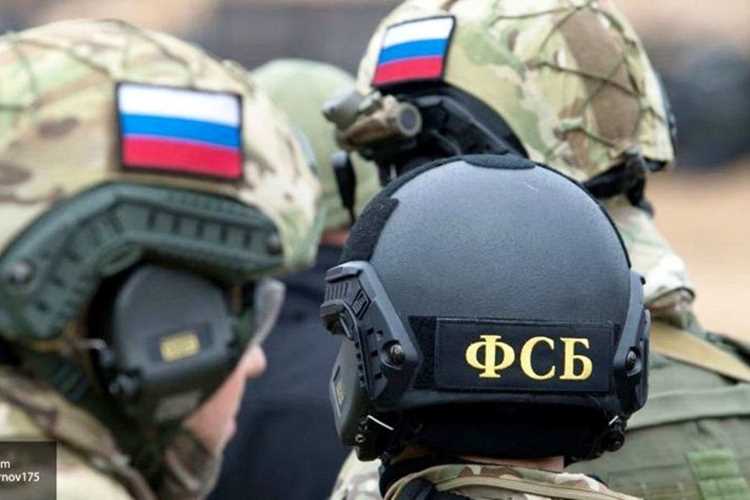 Надзор за деятельностью органов власти: роль прокуратуры