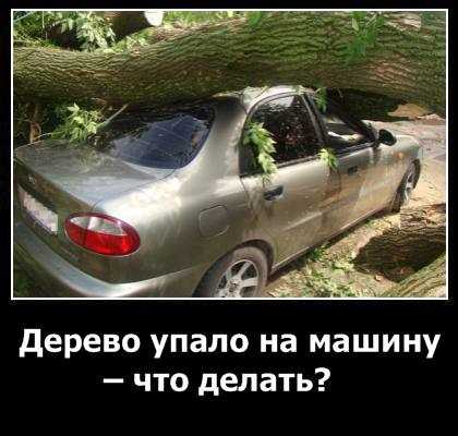 Документирование ущерба для страховой компании