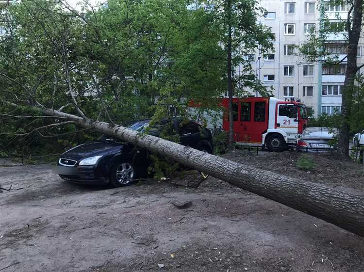 Определение ответственного за падение дерева