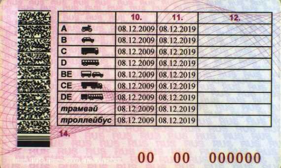 Сколько стоит обучение и оформление прав категории М