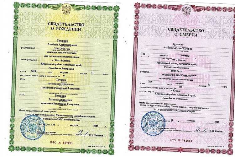 Как правильно подготовить документы для подачи заявки