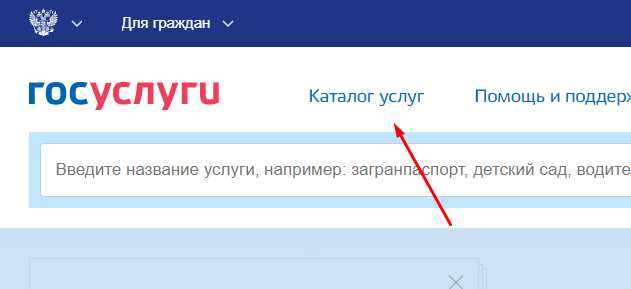 Как посмотреть штраф на госуслугах