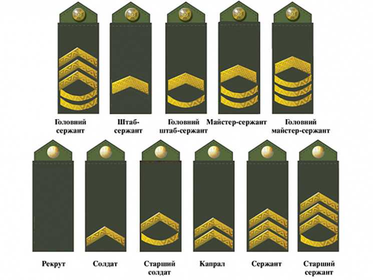 Какие ошибки нужно избегать при сокращении звания младший сержант?