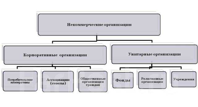 Как узнать коммерческая или некоммерческая организация