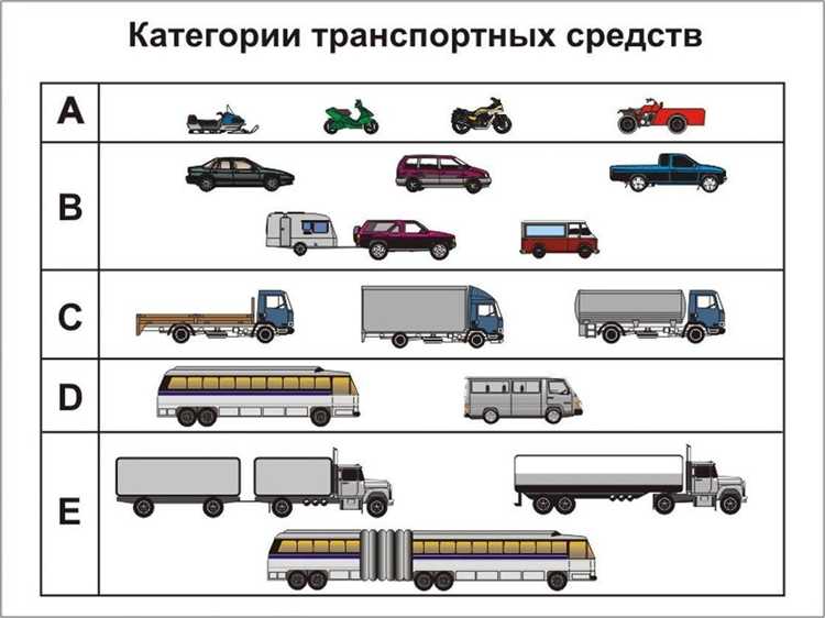 Моторные лодки и катера: классификация по типу и применению