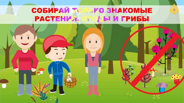 Механизмы контроля за соблюдением экологических правил
