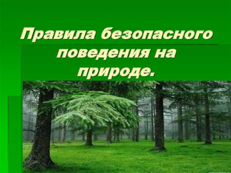 Влияние международных соглашений на национальное законодательство