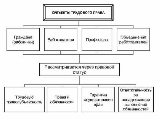 Кто является субъектом образовательных правоотношений