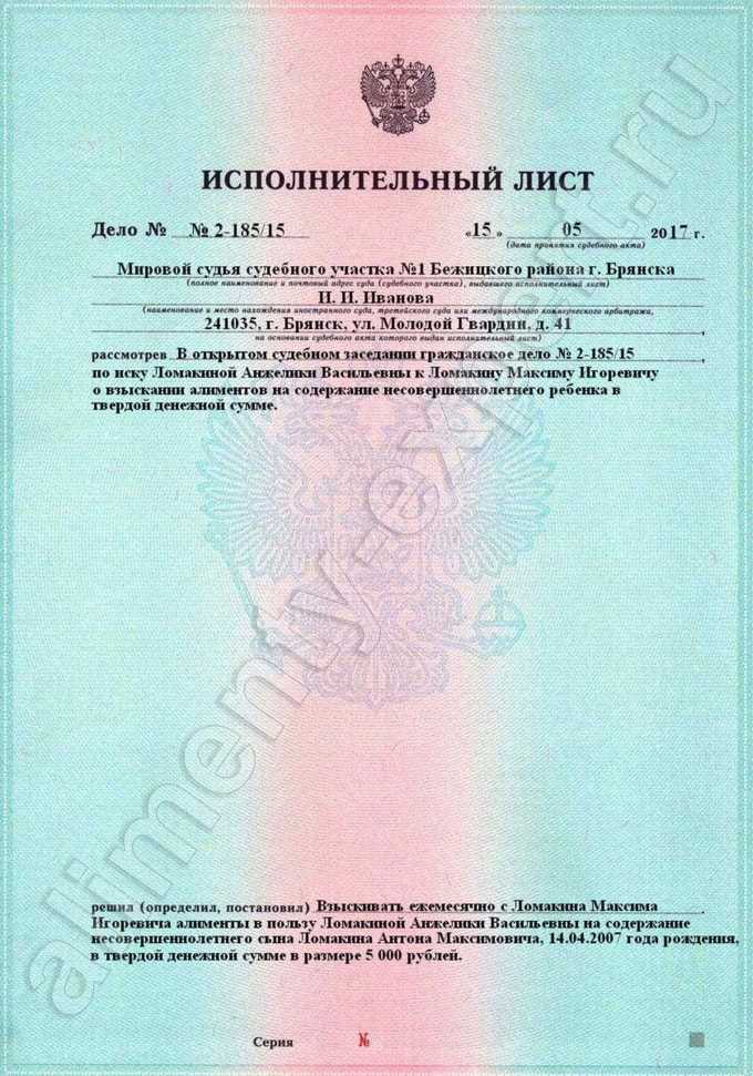 Особенности подачи исполнительного листа в налоговые органы
