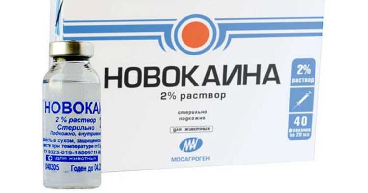 МНН как инструмент контроля качества и безопасности лекарств