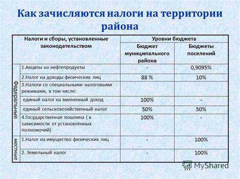Роль налоговых агентств в зачислении НДФЛ в бюджет