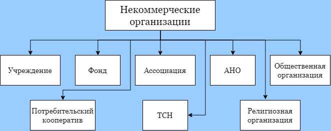 Как оценить влияние НКО на общество и результаты ее работы