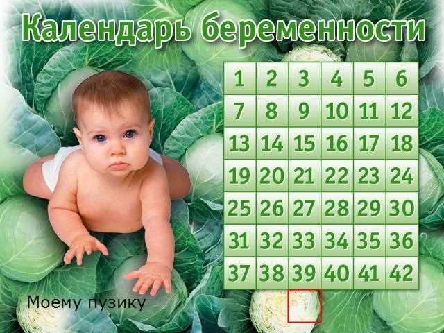 Расчет декретных при многоплодной беременности с осложнениями