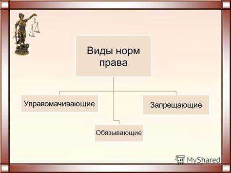 Правовые нормы в контексте судебной практики