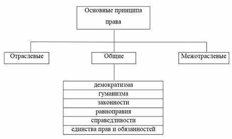 Ответственность за нарушение правил привода