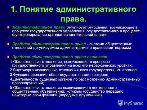 Процедурные гарантии для лица, подлежащего приводу