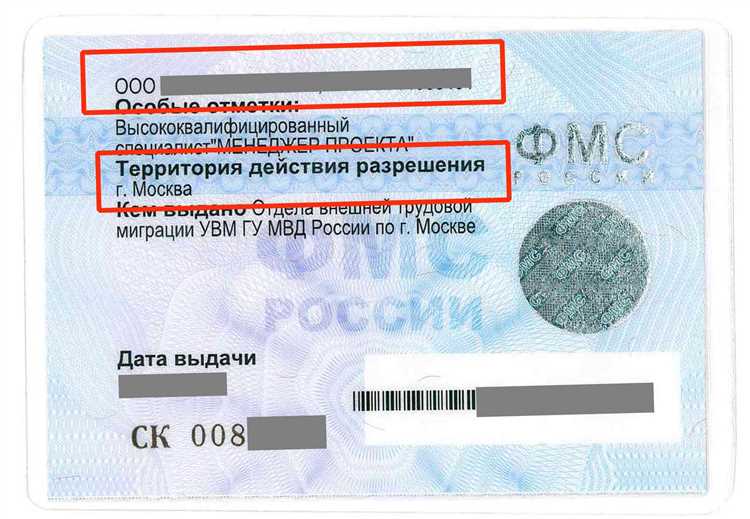 Что такое вкс для иностранных граждан