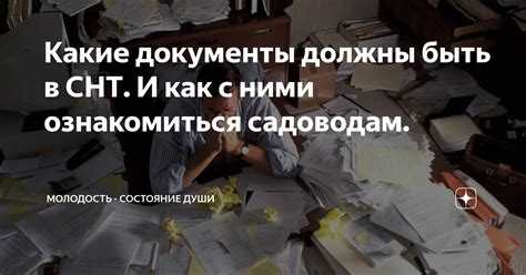 Как избежать ошибок при оформлении документов для СНТ