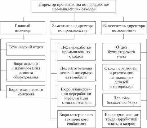 Роль Федеральной налоговой службы в внедрении стандартов контроля