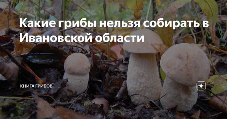 Где найти информацию о запрещённых грибах в вашем регионе