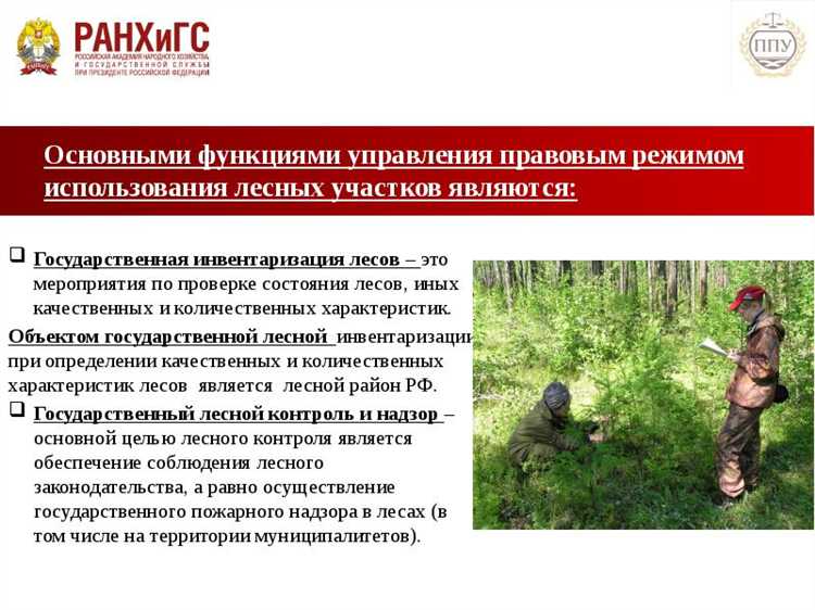 Право на использование лесных ресурсов