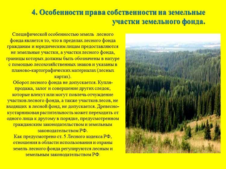 Право на разрешение на застройку в лесных массивах
