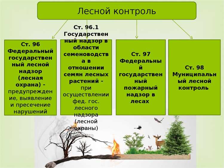 Право на заготовку древесины