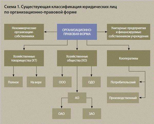 Особенности классификации органов в зависимости от вида юридического лица