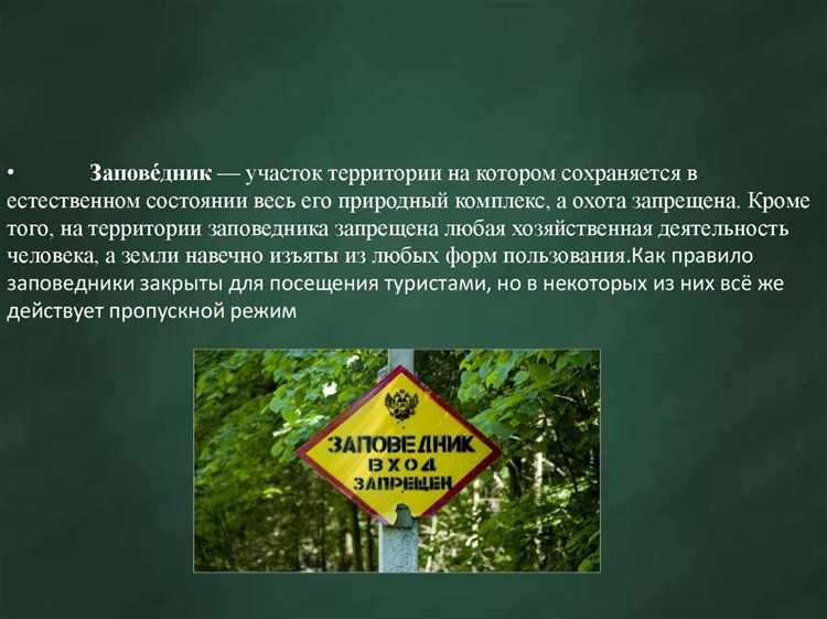 Штрафы за незаконную вырубку лесов