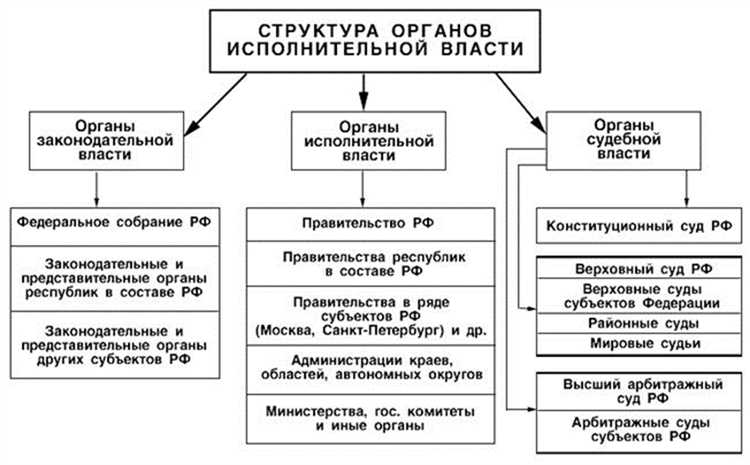 Как Федеральная антимонопольная служба регулирует конкуренцию на рынке?